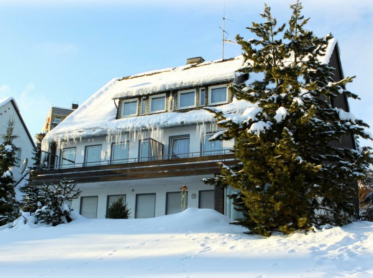 Komfort-Fewo Ettelsberg-Panorama Willingen  Phòng bức ảnh